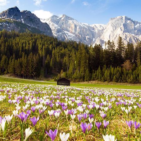 House Of Huetter - Wachtelhof & Spa Maria Alm am Steinernen Meer Eksteriør bilde