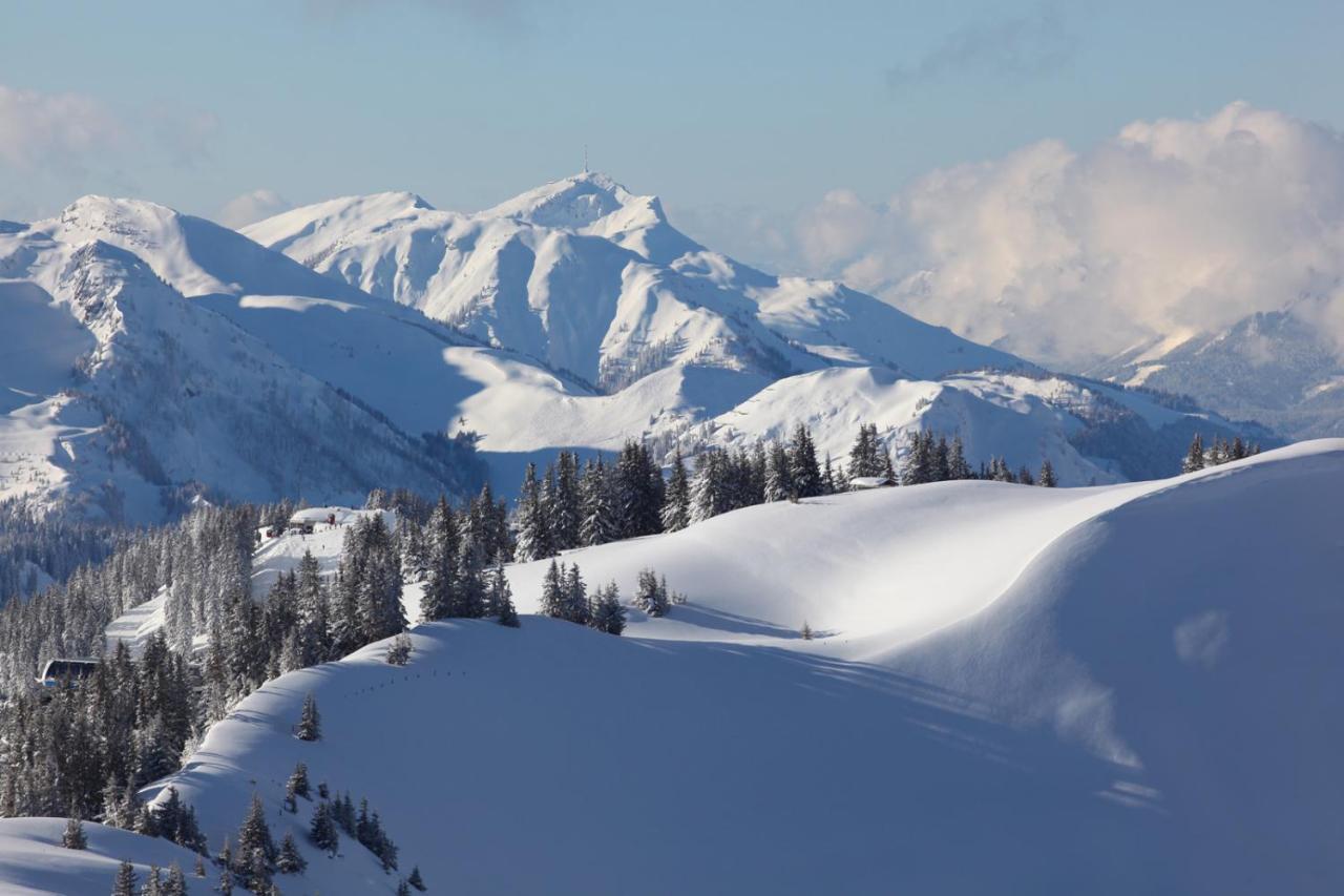 House Of Huetter - Wachtelhof & Spa Maria Alm am Steinernen Meer Eksteriør bilde