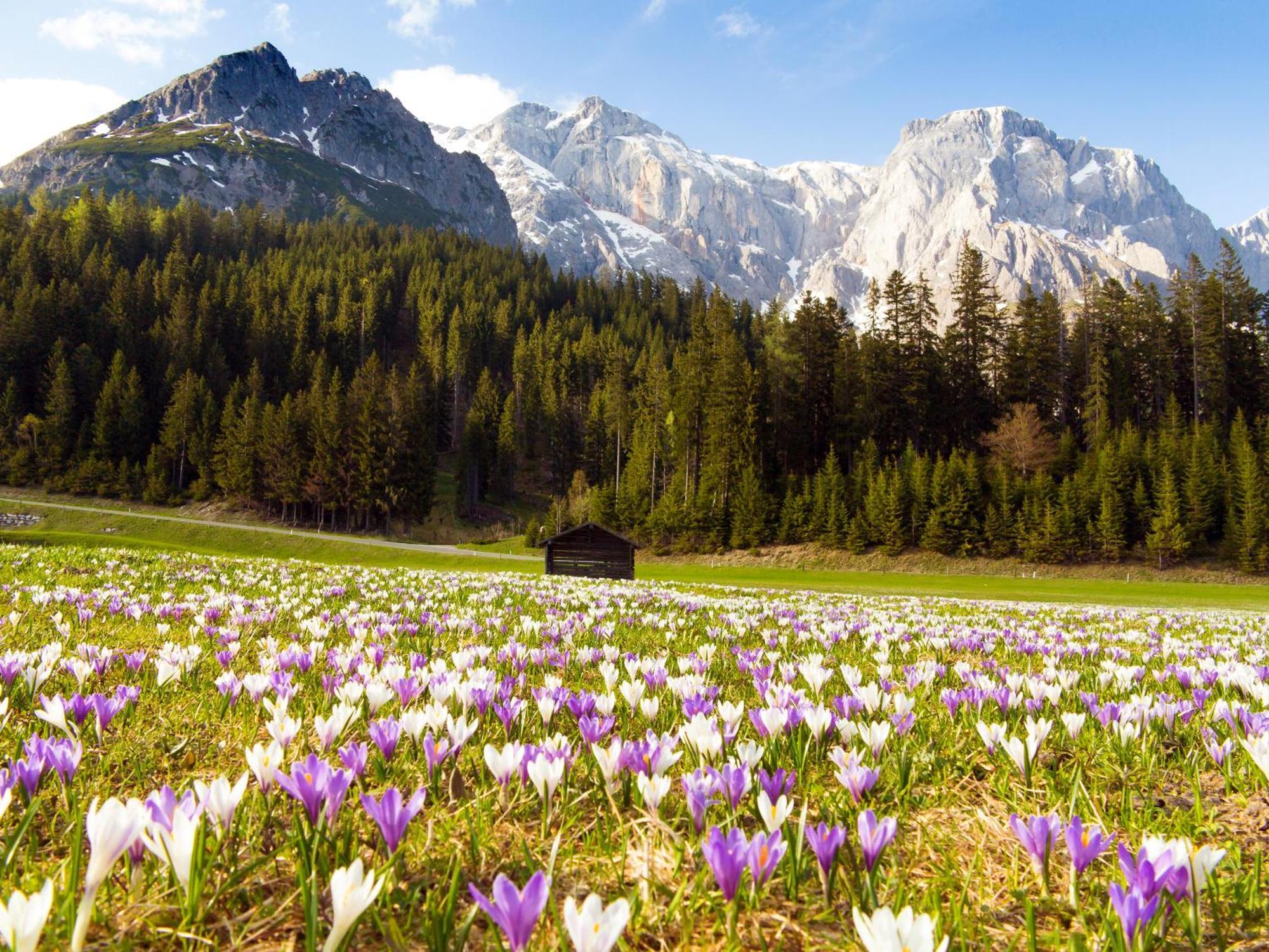 House Of Huetter - Wachtelhof & Spa Maria Alm am Steinernen Meer Eksteriør bilde